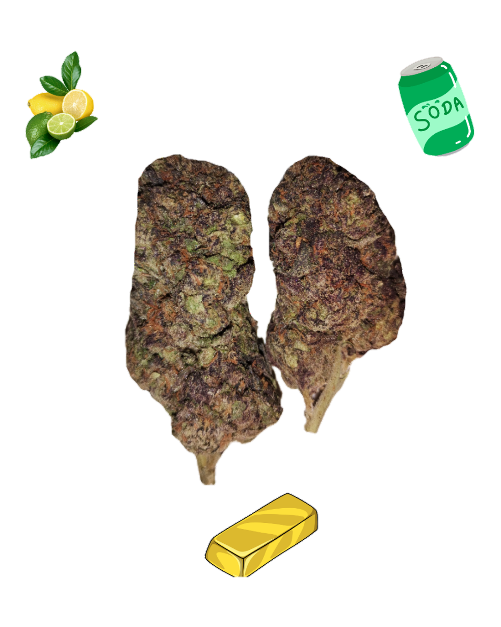 Lemon Lime Soda- Gold Tier- THCa- Sativa / 1g